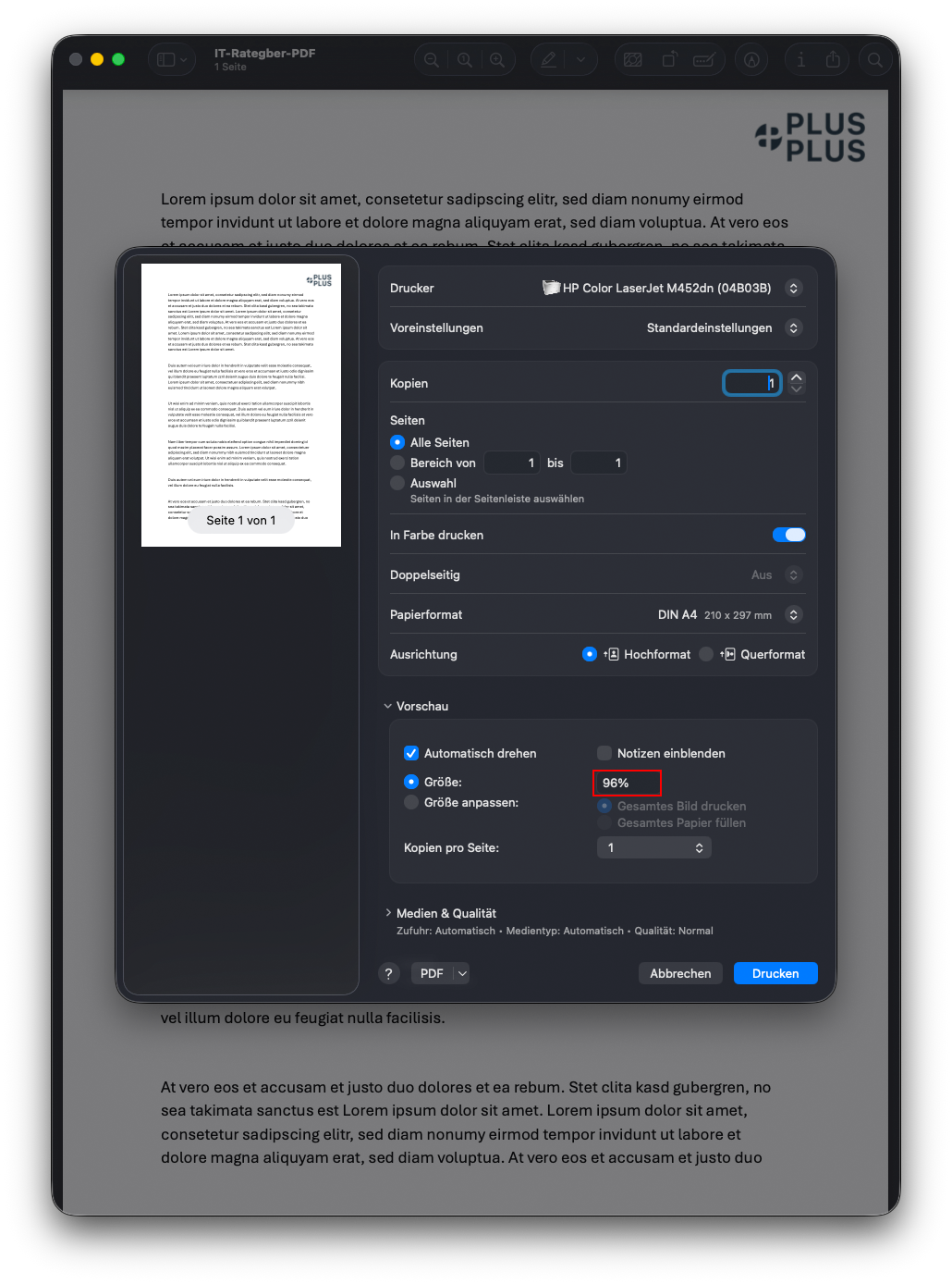 Druckdialog