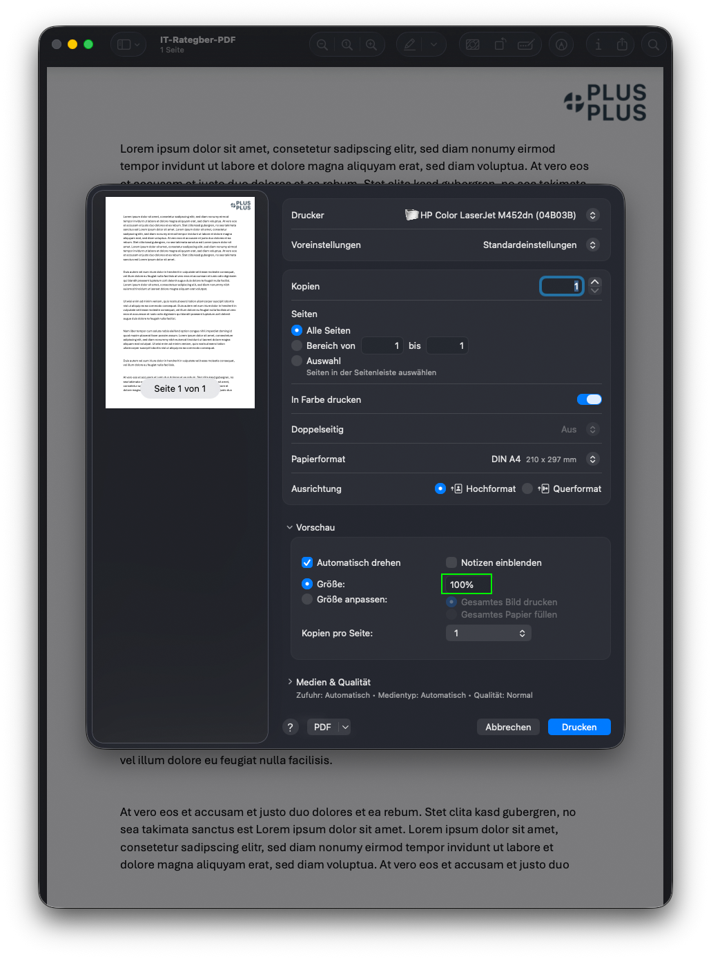 Druckdialog